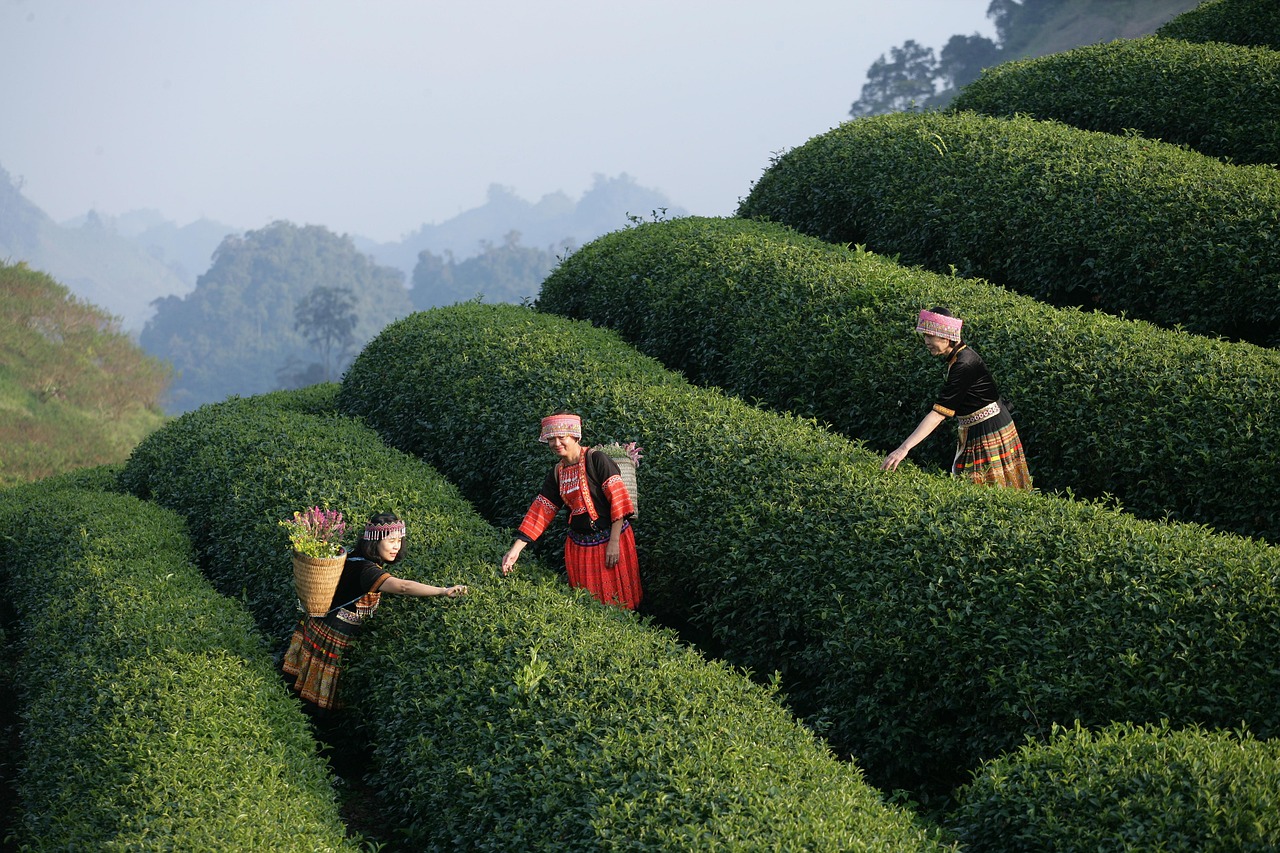 Adventurous outdoor activities